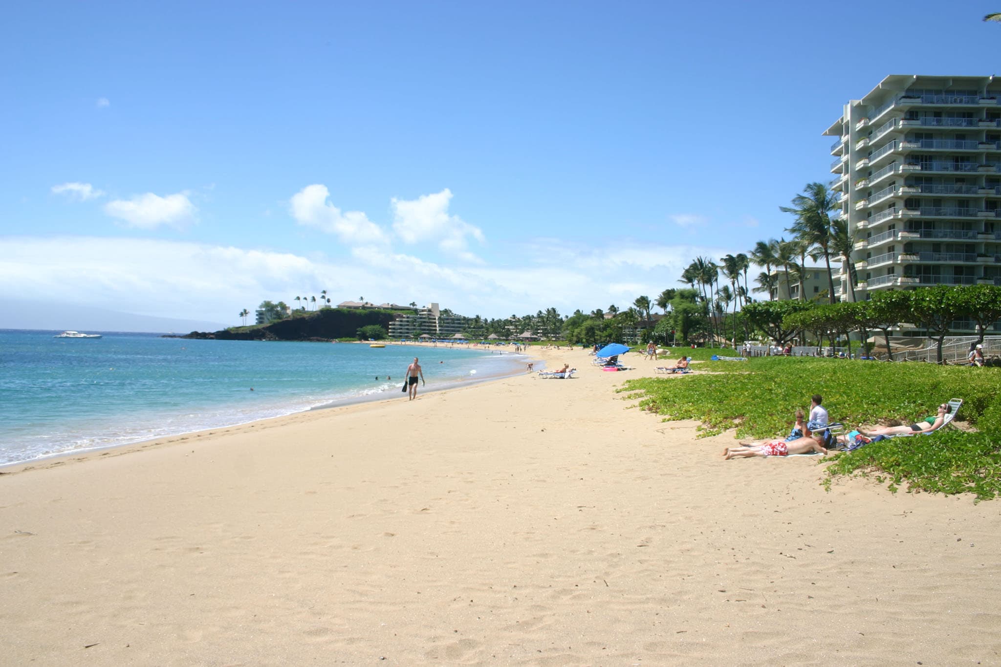 The Best Beaches in Maui: A Local's Guide to Paradise